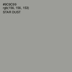 #9C9C99 - Star Dust Color Image